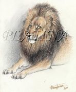 lion3.jpg by Therese Larsson (Ailah)