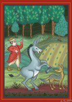 donkeyjackalweb.jpg by Jill C. (Jill0r)