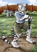 tigercommiss.jpg by Abigail Ryder (Worryfox)