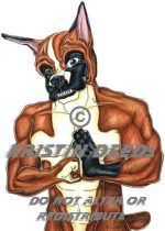 boxer3.jpg by Kristin Deeds