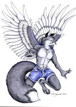 kitfox2.jpg by XianJaguar
