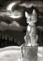 cat01.jpg by MaryBeth Kiczenski (SuperCrazzy)