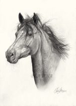 rascal_mark.jpg by Therese Larsson (Ailah)