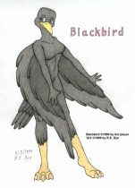 blkb_015.jpg by Richard E. Dye