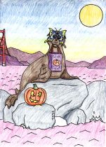 bayseal.jpg by Jennifer Sabado (Seth, Tora)
