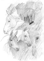 graphitehorses.jpg by Therese Larsson (Ailah)