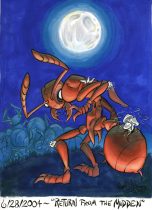 mrubra.jpg by Carrie Graham (Velvet)