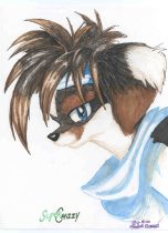 crazzyfa.jpg by MaryBeth Kiczenski (SuperCrazzy)