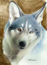 sabarikamark.jpg by Therese Larsson (Ailah)