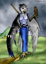 alw-falconer.jpg by Traci Vermeesch (Ulario)