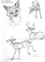 yayblacktl.jpg by J.C. Amberlyn (DesertCoyote)
