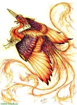 s-fyrbrd.jpg by Suz Bateson (Torrent)