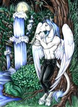 ciaran-c.jpg by Aura Moser