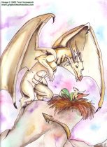 dragons-roost.jpg by Traci Vermeesch (Ulario)