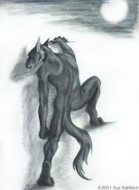 shadmoon.jpg by Suz Bateson (Torrent)