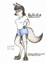 kalli010.jpg by Richard E. Dye
