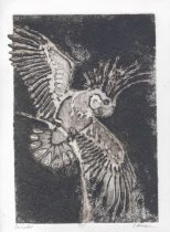 cockatoo.jpg by Cara Mitten