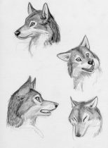 asheru03.jpg by Scott Ruggels