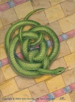 jmn-knotwork_snake.jpg by Janis Neville (starfallz)