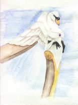 binnorie.jpg by Karen J. Cravens (Silver)