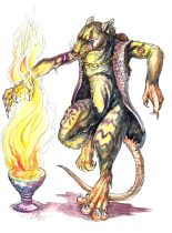 cmshaman.jpg by Cara Mitten
