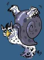 wtfsnailly.jpg by Amy Fennell (Lyosha)