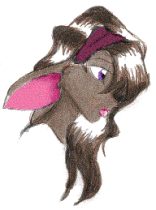 wm_dash5.gif by Whitney Mattila (Dash, Tia, Matilda)