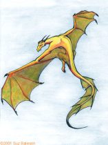 kitedude.jpg by Suz Bateson (Torrent)