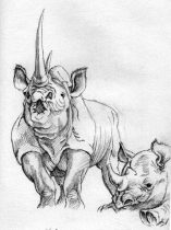 rhinokis.jpg by Megan Giles (SpaceCat)
