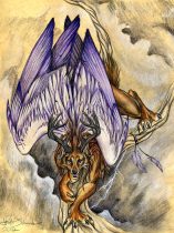 wingyote.jpg by Heather Schumacher (Nova)