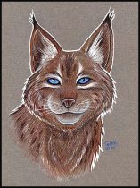 tonedasair.jpg by Heather Wasneuski (Cybre)