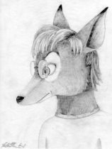 foxguy.jpg by Heather Fieldhouse (BunnyHugger, Ringo)