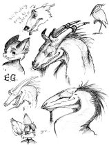 ahdoodlepage.jpg by Niki Foley (Basalt)