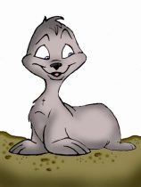 sealpup.jpg by Chandra Odom (Shasa)