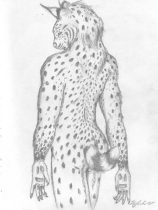 chattan.jpg by Sarah Wheeler (Noelani Manawolf)