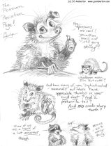 pppage.jpg by J.C. Amberlyn (DesertCoyote)