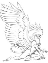 orzel_1.jpg by Megan Giles (SpaceCat)