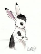 bheyes.jpg by Heather Fieldhouse (BunnyHugger, Ringo)
