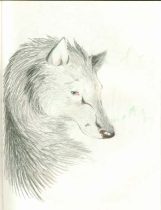tearyeye.jpg by Sarah Wheeler (Noelani Manawolf)
