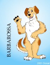 barbar.jpg by Jason Williams (Ocicat)