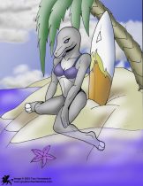 dolphin-gal.jpg by Traci Vermeesch (Ulario)