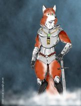 foxkni.jpg by Jason Williams (Ocicat)
