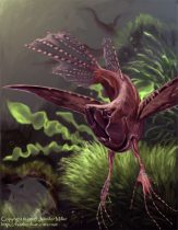butterflyfeesh.jpg by Jennifer Miller (Nambroth)