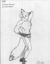 toddfox.jpg by Sarah Wheeler (Noelani Manawolf)