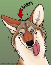 dirtyyote.jpg by Heather Luterman (Kyoht)