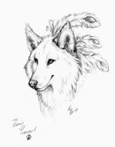 hoshisketch.jpg by L.N. Dornsife (Thornwolf)