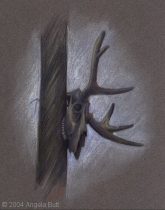 yel_sentry.jpg by Angela Butt (Yelth)