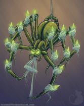 chandspider.jpg by Corene Werhane (Nezumi)