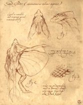 sandglidersheet.jpg by Christian Spalthoff (Spalthoff, Carbo)