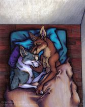 kayrookiss.jpg by Laura Westrate (Cricket)